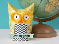 BasicGrey Owl Gift Box